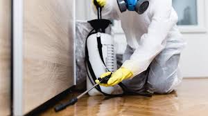 Best Pest Exclusion Services  in Kenmore, NY